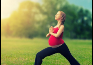 泰国做供卵试管成功率「泰国供精试管婴儿费用」