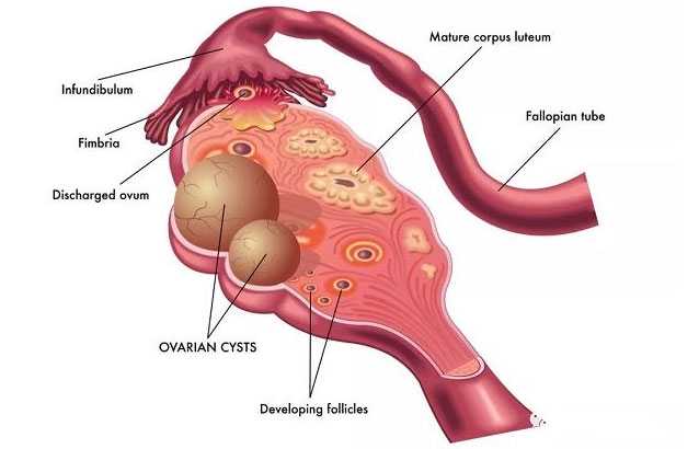 48岁女人做试管能不能成功，八十岁以上高龄补贴是多少48岁高龄求子成功，背