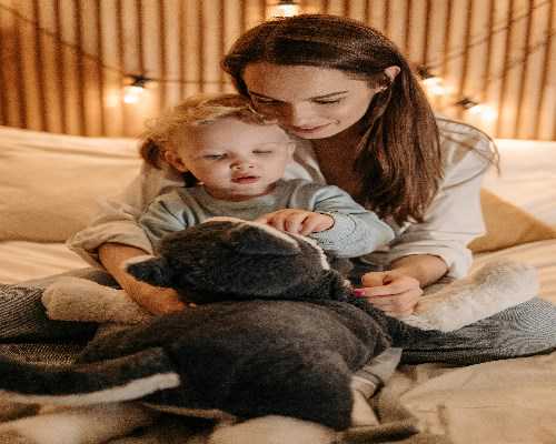 #毛姑的漫漫试管路#2026.12.06取卵日，又