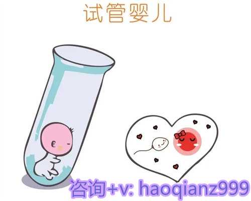 2026深圳三胎政策最新消息：一文读懂上户口是否罚款