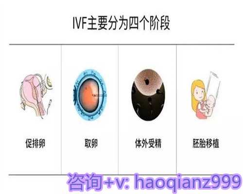 深圳供卵试管包生男孩费用明细，一文中看完你心中就有数了